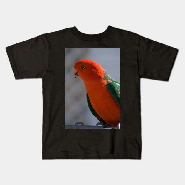 King Parrot #1 Kids T-Shirt by DeborahMcGrath